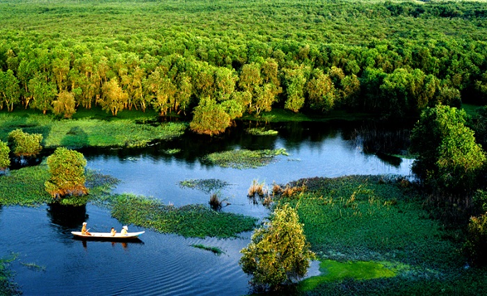 Rừng Tràm Sư - Một trong các khu du lịch sinh thái ở An Giang