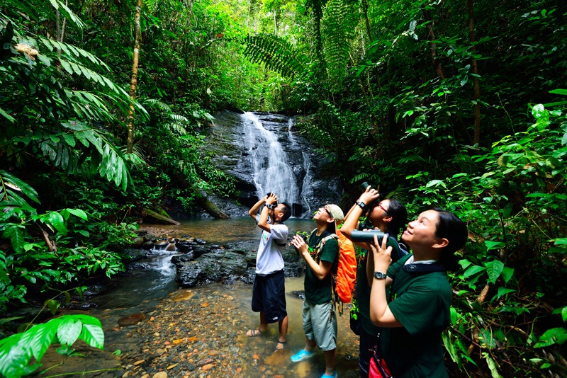 Tìm hiểu đất nước Brunei - Công viên quốc gia Ulu Temburong