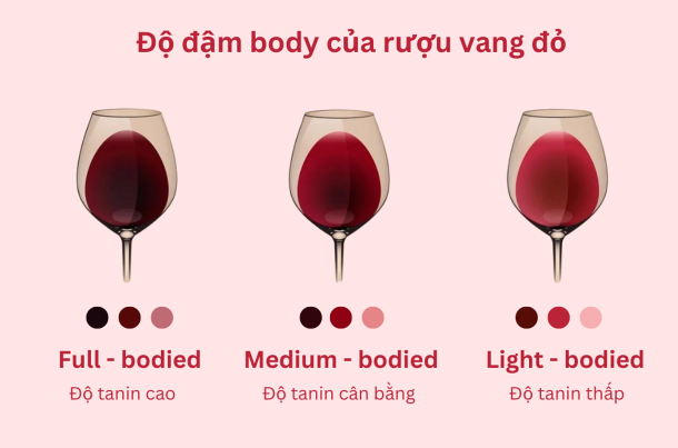 Độ đậm body của rượu vang đỏ