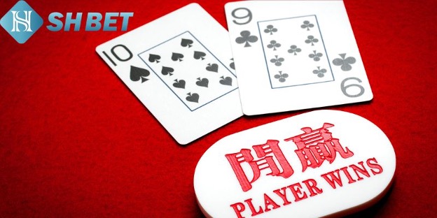 Đa dạng sự lựa chọn cho người chơi Baccarat SHBET